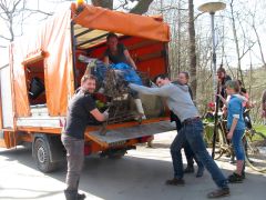 Saaleputz 2019 Entsorgung Eines Einkaufswagens